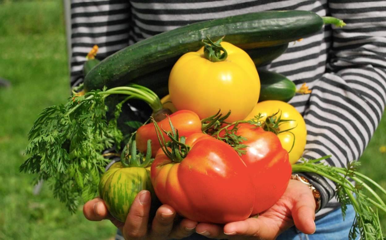 How to Prepare a Vegetable Garden for Spring Planting: Tips, Fertilizer & When to Start