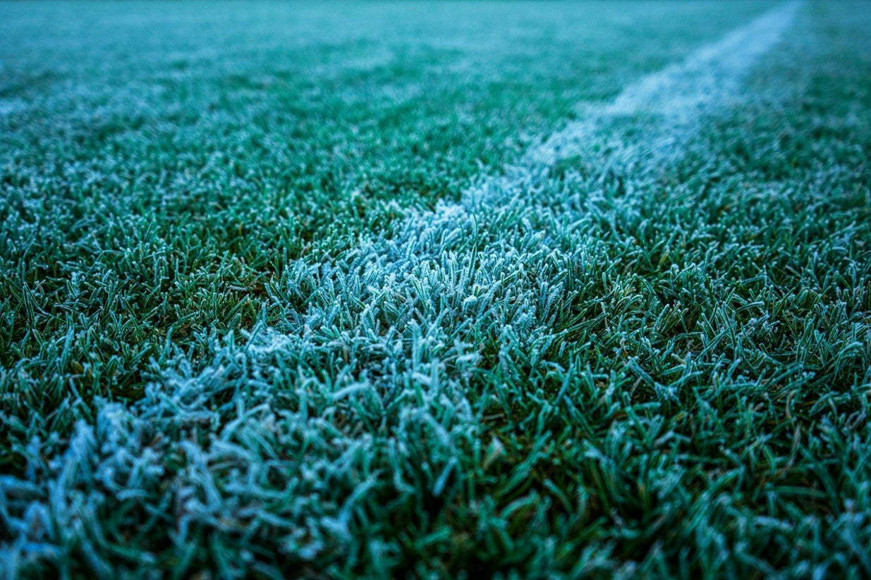 Best Lawn Fertilizer for Winter: NPK Ratio & How to Apply