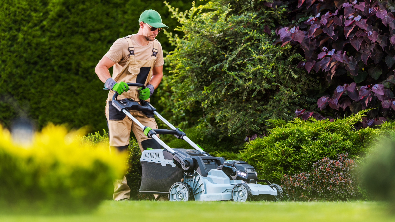 Liquid Fertilizer That Makes Grass Greener