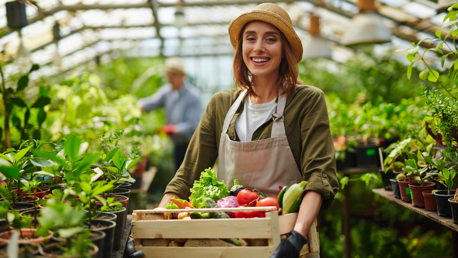 Fish Fertilizer: Benefits, How to Use & Why Plants Love It