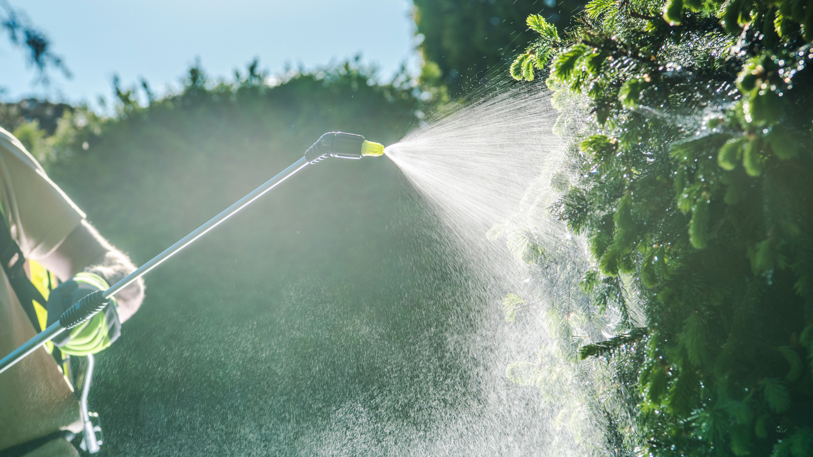How to Feed Plants Properly: A Fertilizer Guide