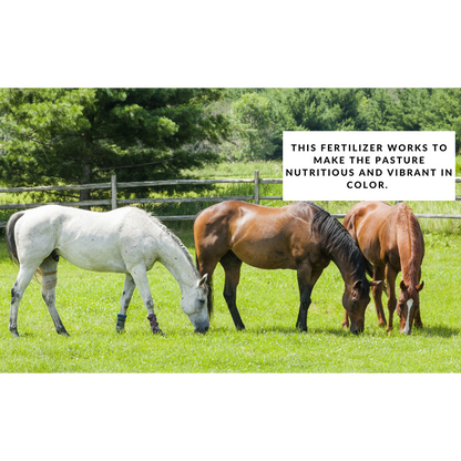Hay & Pasture Formula - Organic Pasture Fertilizer with Humic Acid & Fulvic Acid