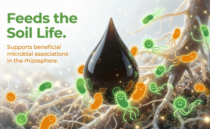 Organic Liquid Humic Acid